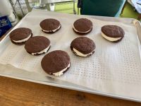 5. Tag – Jasper bis Prince George – Eispause in McBride