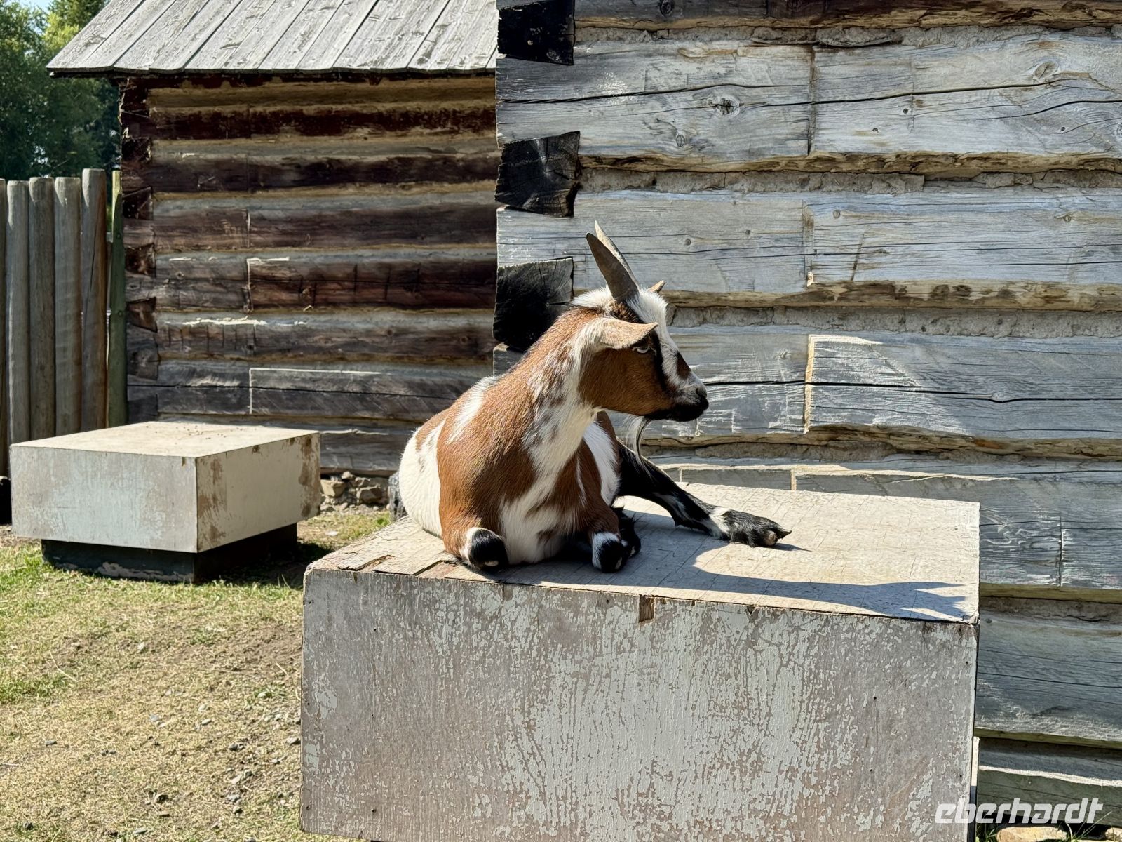 6. Tag – Prince George bis Smithers – Besuch des Fort St. James