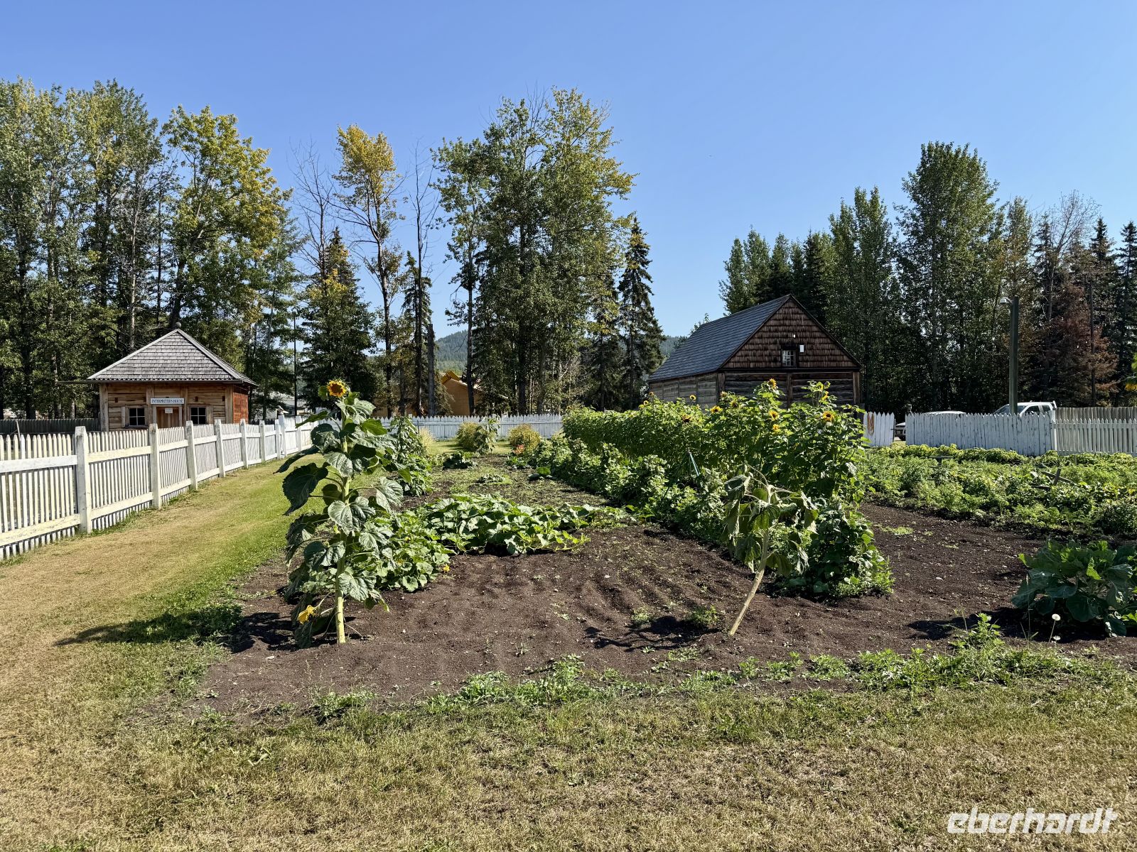 6. Tag – Prince George bis Smithers – Besuch des Fort St. James