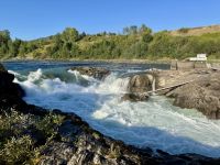 7. Tag – Smithers bis Stewart – Besuch der Fischer am Witset Canyon