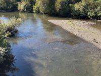 7. Tag – Smithers bis Stewart – Rotlachse im Hannah Creek