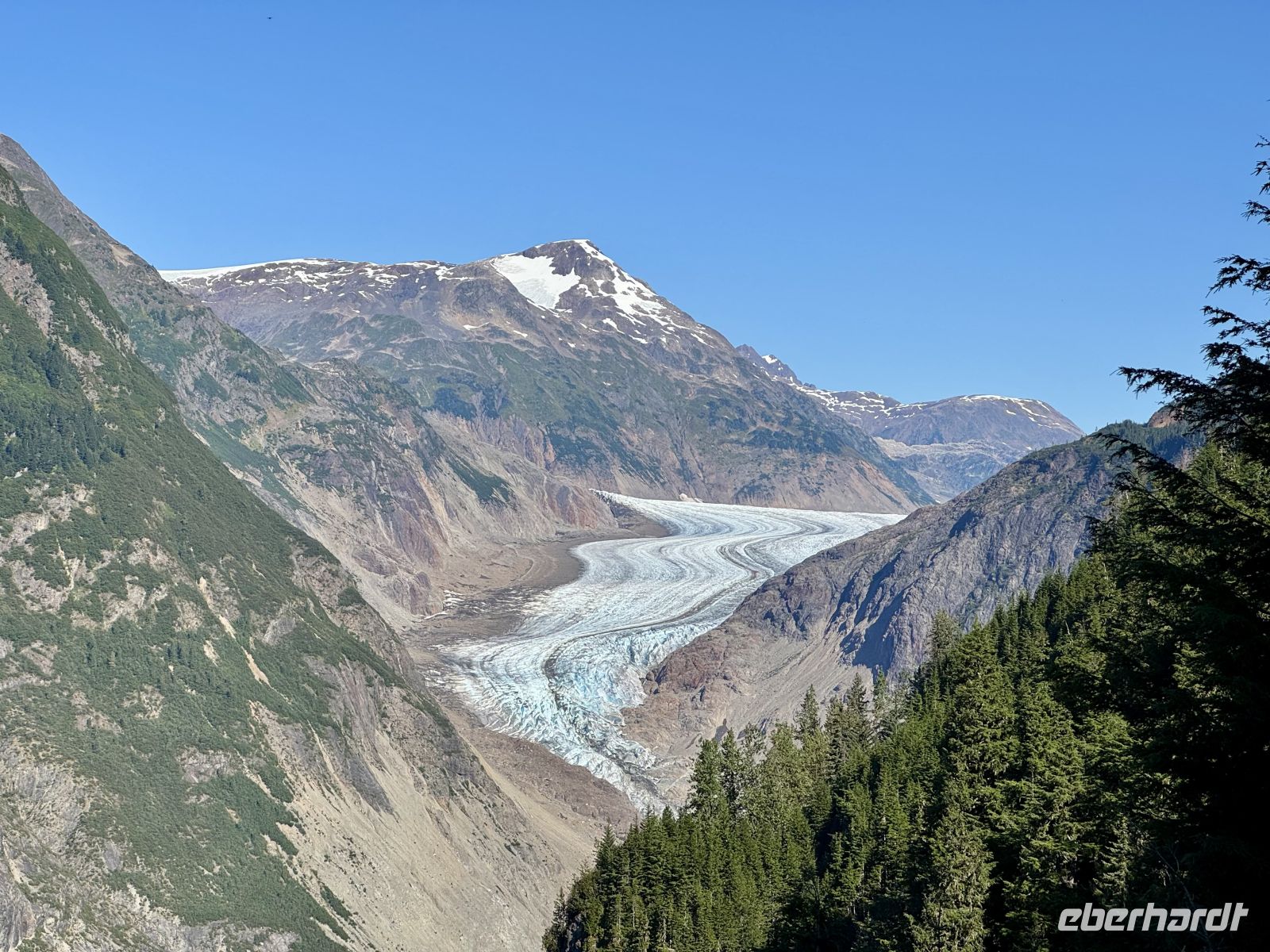 8. Tag – Tongass National Forest und Salmon Glacier – Gletscherzunge des Salmon Glacier