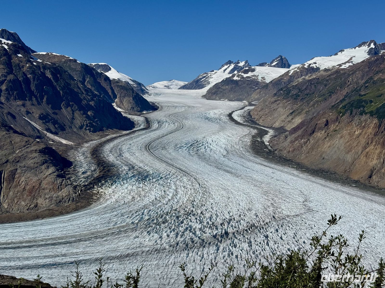 8. Tag – Tongass National Forest und Salmon Glacier – Picknick am Salmon Glacier