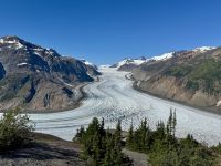 8. Tag – Tongass National Forest und Salmon Glacier – Picknick am Salmon Glacier