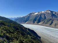 8. Tag – Tongass National Forest und Salmon Glacier – Picknick am Salmon Glacier