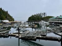 11. Tag – Port Hardy bis Victoria – Telegraph Cove