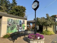 11. Tag – Port Hardy bis Victoria – Wandgemälde in Chemainus