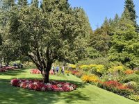 12. Tag – Victoria bis Vancouver – Besuch der Butchart Gardens