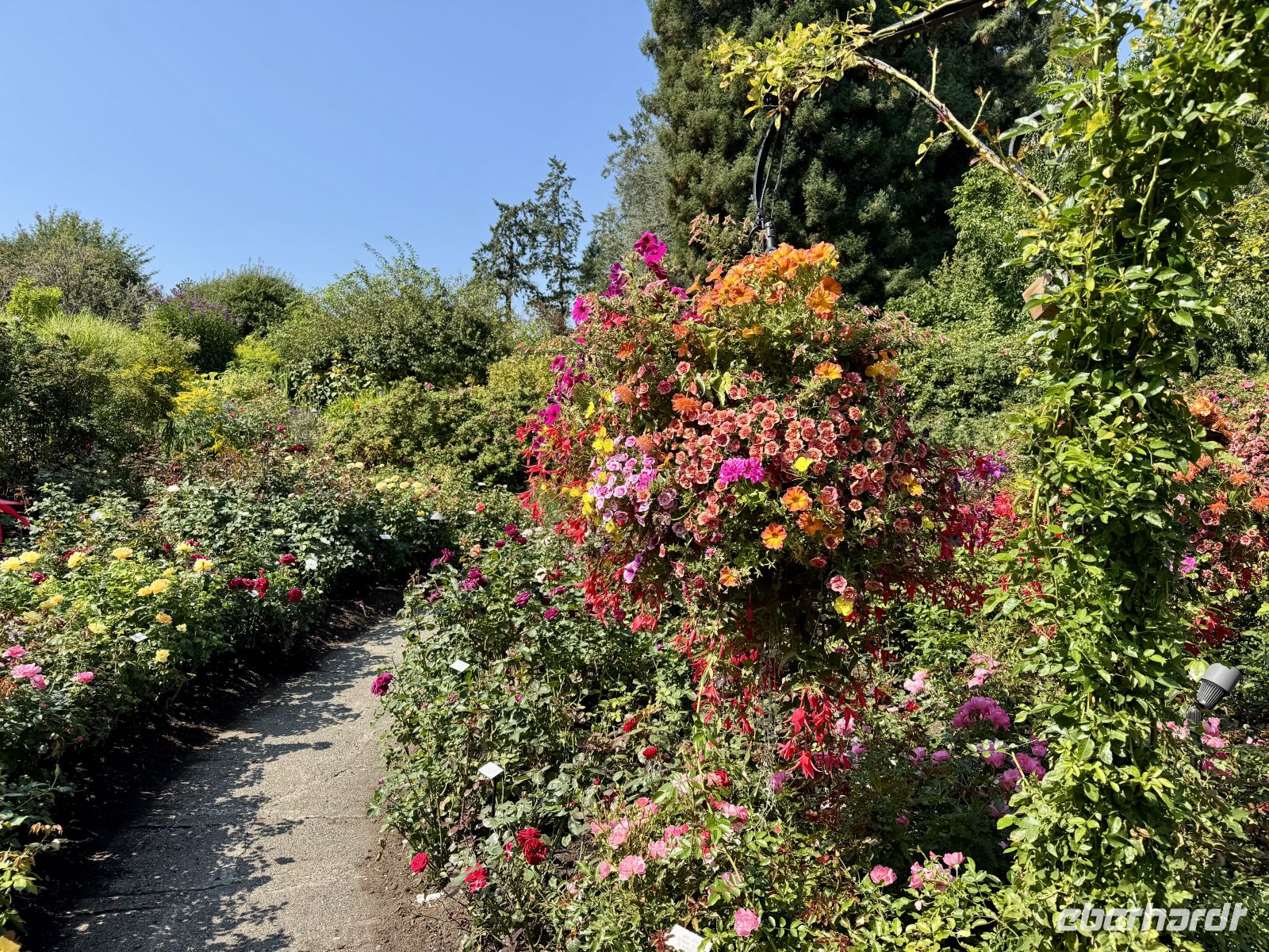 12. Tag – Victoria bis Vancouver – Besuch der Butchart Gardens