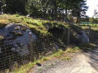 239 Omega Wildpark