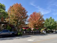 7. Tag – Toronto bis Niagara Falls – Aufenthalt in Niagara-on-the-Lake