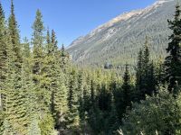 9. Tag – Banff & Yoho National Park – Fotostopp an den Spiral Tunnels