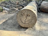 9. Tag – Banff & Yoho National Park – Aufenthalt am Emerald Lake