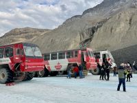 10. Tag – Banff bis Jasper – Icefields Parkway – Mit dem Snow Coach auf den Athabasca-Gletscher