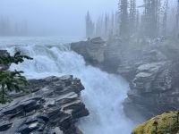 11. Tag – Ausflug im Jasper-Nationalpark – Athabasca Falls im Morgennebel