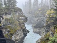 11. Tag – Ausflug im Jasper-Nationalpark – Athabasca Falls im Morgennebel