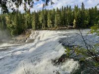 12. Tag – Jasper bis Clearwater – Ausflug in den Wells Gray Park – Dawson Falls