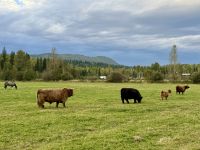 12. Tag – Jasper bis Clearwater – Ausflug in den Wells Gray Park – Abendessen auf der Wells Gray Ranch
