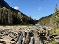 13. Tag – Kamloops bis Whistler – Fotostopp am Duffey Lake