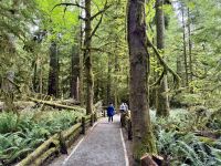 14. Tag – Whistler bis Tofino – Spaziergang durch den Cathedral Cove im MacMillan Provincial Park