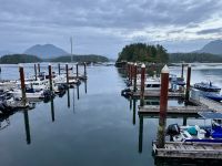 14. Tag – Abendstimmung in Tofino am Shelter Restaurant