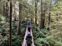 15. Tag – Tofino & Pacific Rim National Park – Spaziergang durch den Regenwald