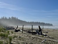 15. Tag – Tofino & Pacific Rim National Park – Wickaninnish Beach