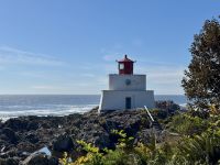 15. Tag – Tofino & Pacific Rim National Park – Spaziergang auf dem Ucluelet Lighthouse Loop