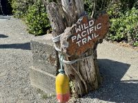 15. Tag – Tofino & Pacific Rim National Park – Spaziergang auf dem Ucluelet Lighthouse Loop