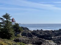 15. Tag – Tofino & Pacific Rim National Park – Spaziergang auf dem Ucluelet Lighthouse Loop