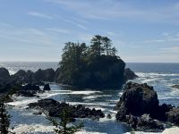 15. Tag – Tofino & Pacific Rim National Park – Spaziergang auf dem Ucluelet Lighthouse Loop