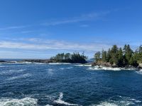 15. Tag – Tofino & Pacific Rim National Park – Spaziergang auf dem Ucluelet Lighthouse Loop