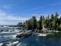 15. Tag – Tofino & Pacific Rim National Park – Spaziergang auf dem Ucluelet Lighthouse Loop