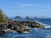 15. Tag – Tofino & Pacific Rim National Park – Spaziergang auf dem Ucluelet Lighthouse Loop