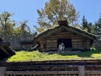 16. Tag – Tofino bis Victoria – Old Farmers' Market in Coombs