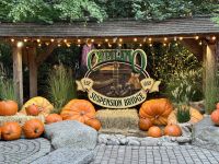 18. Tag – Ausflug in den Norden Vancouvers – Besuch der Capilano Suspension Bridge