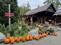 18. Tag – Ausflug in den Norden Vancouvers – Besuch der Capilano Suspension Bridge