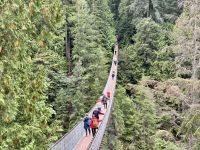18. Tag – Ausflug in den Norden Vancouvers – Besuch der Capilano Suspension Bridge
