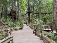 18. Tag – Ausflug in den Norden Vancouvers – Besuch der Capilano Suspension Bridge