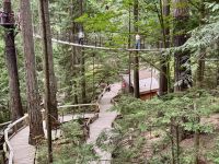 18. Tag – Ausflug in den Norden Vancouvers – Besuch der Capilano Suspension Bridge