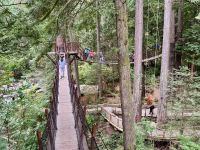 18. Tag – Ausflug in den Norden Vancouvers – Besuch der Capilano Suspension Bridge