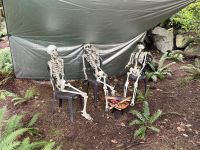 18. Tag – Ausflug in den Norden Vancouvers – Besuch der Capilano Suspension Bridge