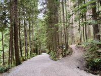 18. Tag – Ausflug in den Norden Vancouvers – Waldspaziergang zur Lachsaufzuchtstation