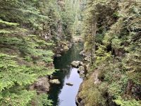 18. Tag – Ausflug in den Norden Vancouvers – Waldspaziergang zur Lachsaufzuchtstation