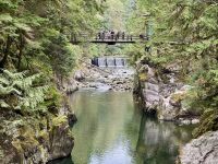 18. Tag – Ausflug in den Norden Vancouvers – Waldspaziergang zur Lachsaufzuchtstation