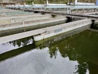 18. Tag – Ausflug in den Norden Vancouvers – Waldspaziergang zur Lachsaufzuchtstation