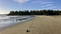 Der Strand vor unserem Hotel in Tofino