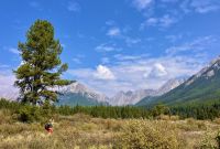 Bergwelt in den Rockies
