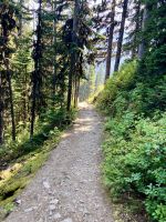 wieder hinunter zum lake Louise