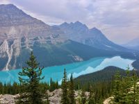 Der Peyto Lake glaenzt